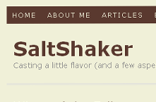 Saltshaker Blog